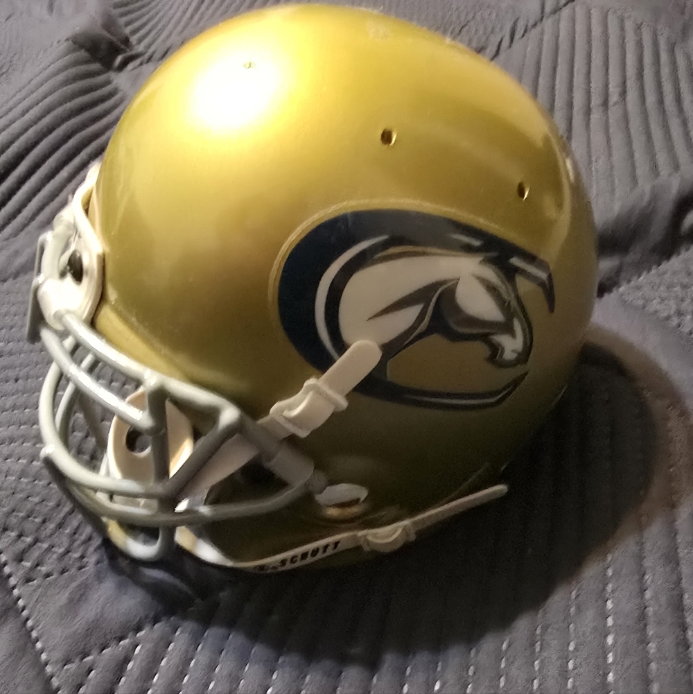 Gold Football Helmet with Horse Logo